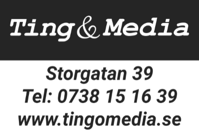 Ting & Media 